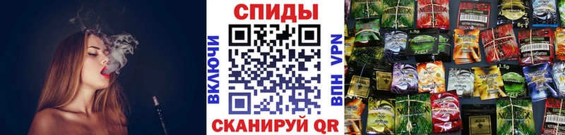 цены Судак БУТИРАТ буратино