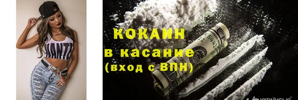 гидропоника Бородино