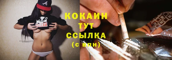 гидропоника Бородино