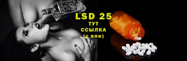 гидропоника Бородино