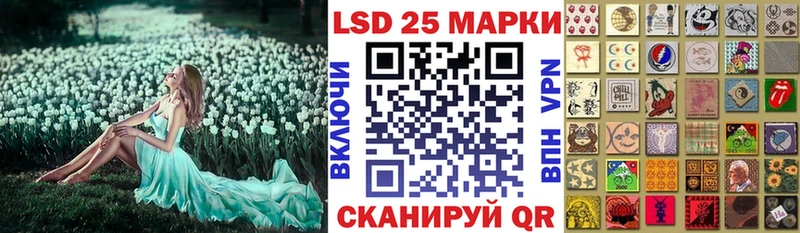 mega tor Судак Марки NBOMe 1,5мг закладка