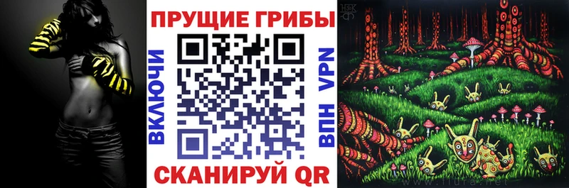 OMG вход  Судак  Галлюциногенные грибы Cubensis  наркошоп 